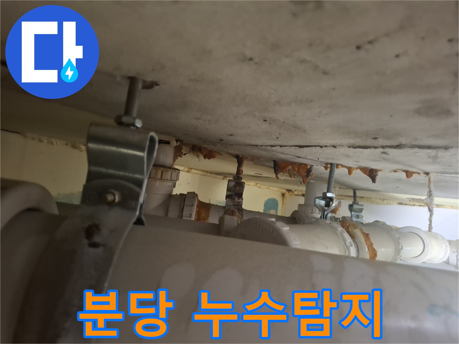 분당 삼평동 봇들마을 아파트 누수 - 누수탐지부터 완벽한 해결까지 책임집니다!