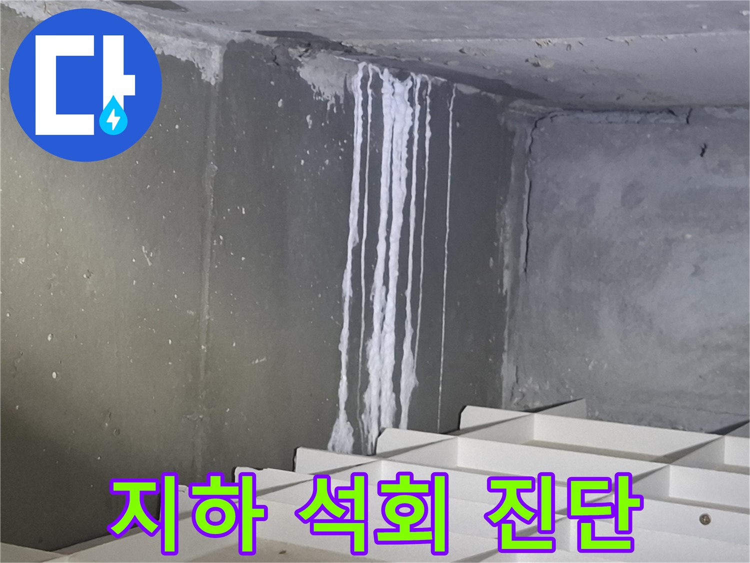 분당 삼평동 봇들마을 아파트 - 지하 석회 누수 긴급 진단