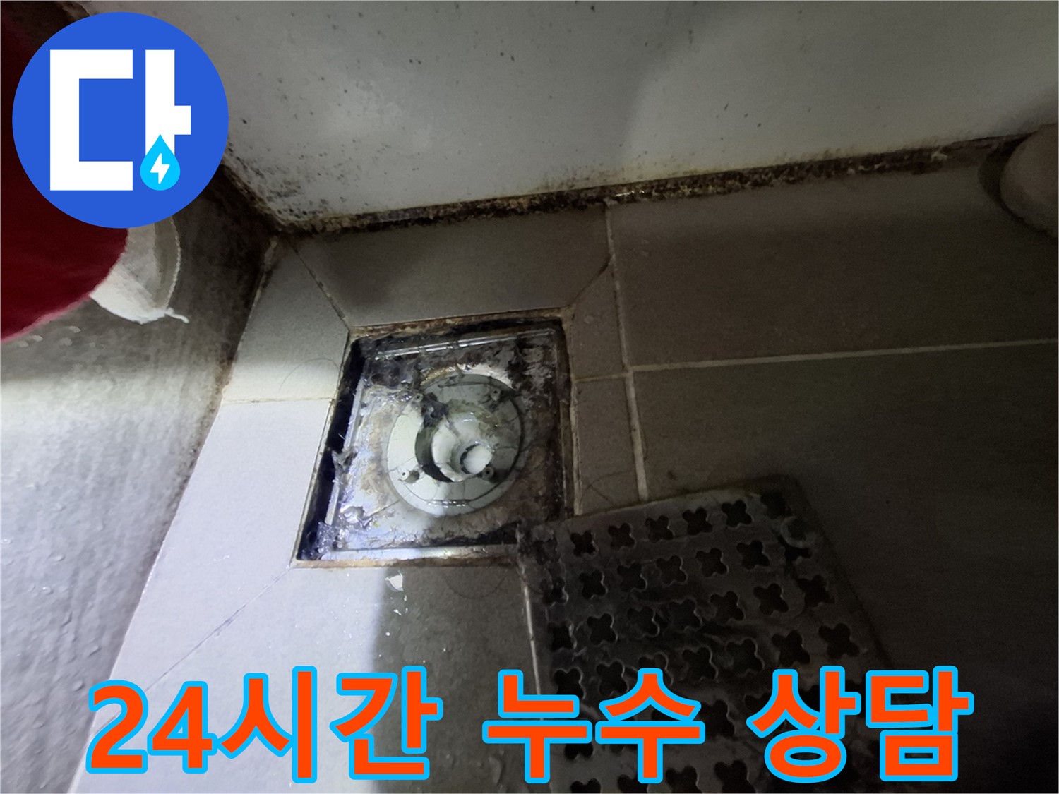 분당 삼평동 봇들마을 욕실 배수구 누수 - 24시간 언제든지 상담 가능