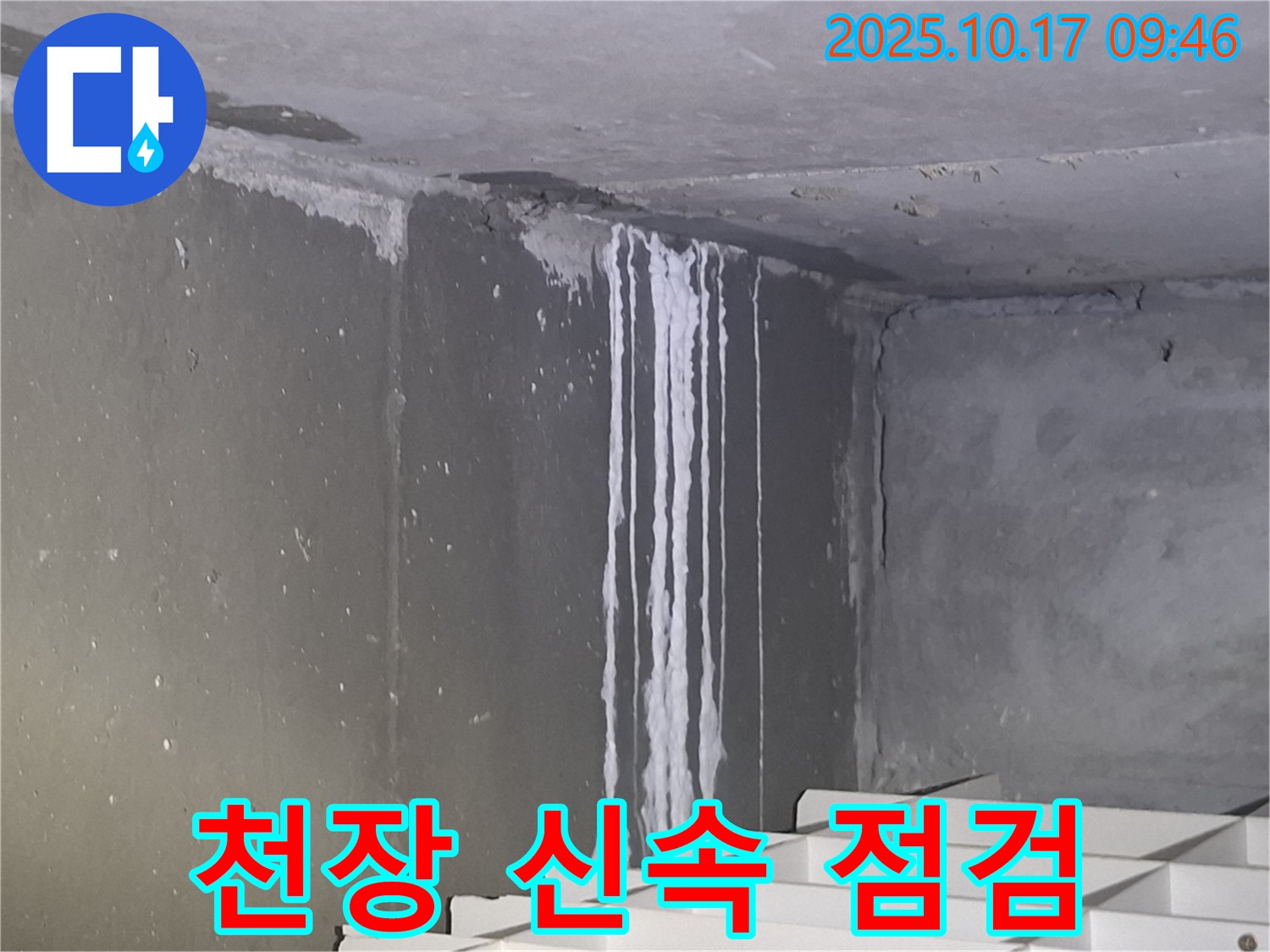 분당 삼평동 봇들마을2단지 아파트 계단실 천장 누수 - 신속한 점검으로 누수 문제를 해결하기 위해 최선을 다하고 있습니다.