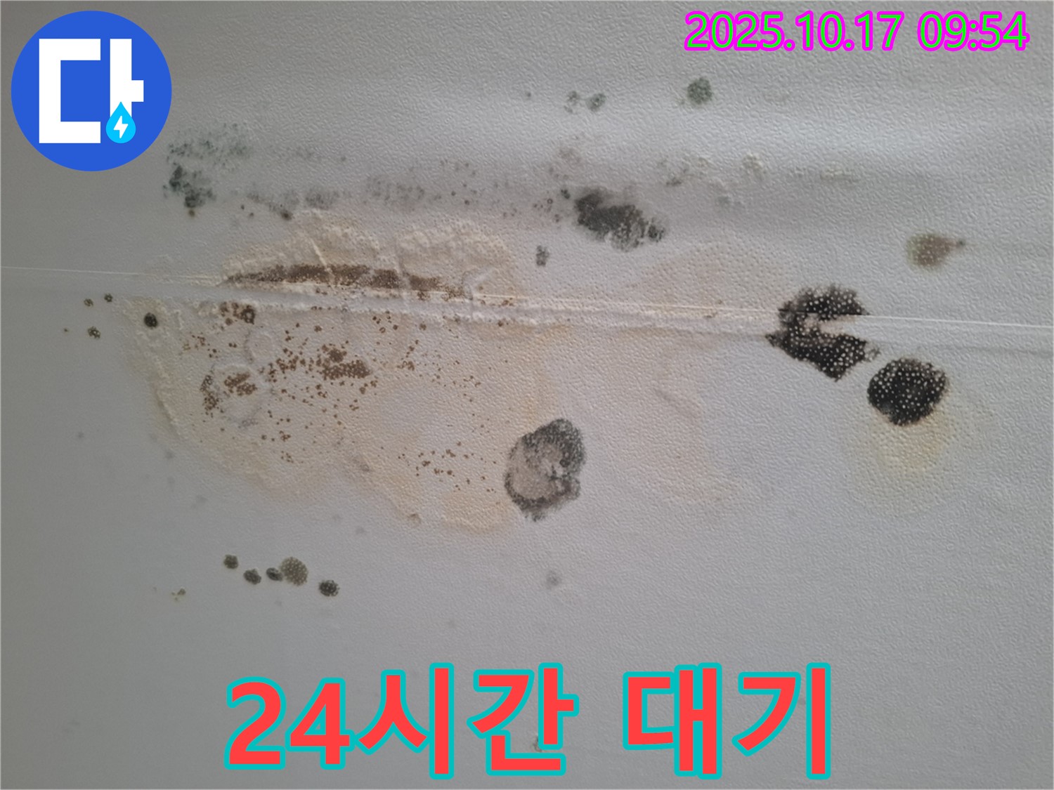 분당 삼평동 봇들마을2단지 아파트 천장 누수 - 24시간 언제든 연락 주세요