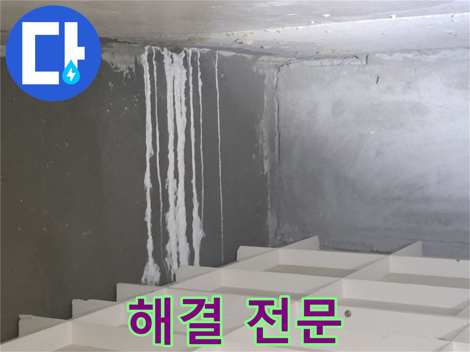 분당 삼평동 아파트 누수 - 곰팡이와 백화 현상 해결 전문 업체의 차별화된 기술력