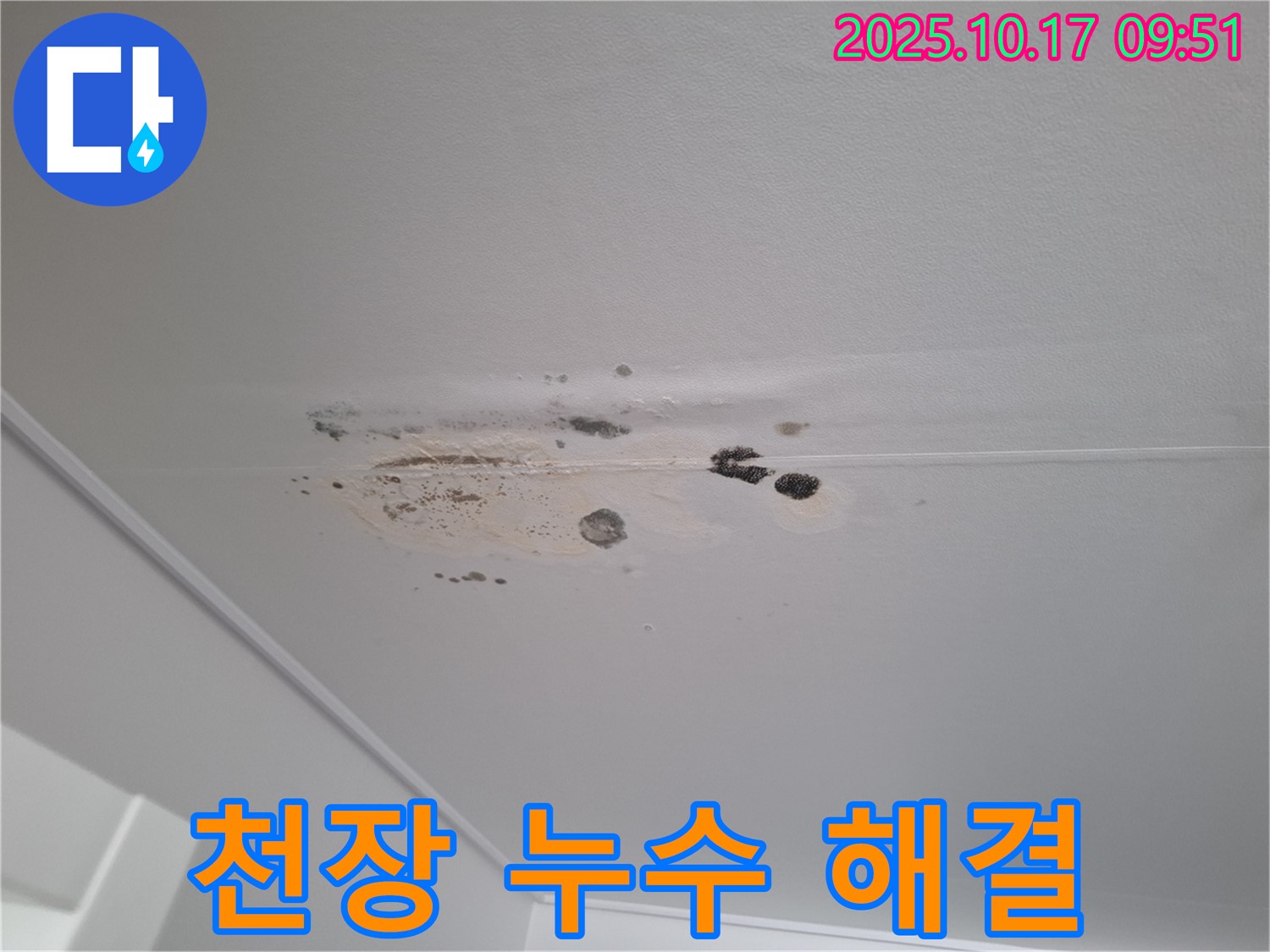 분당 아파트 천장 누수 - 곰팡이 문제를 해결하고 완벽한 누수 방지를 위한 시공