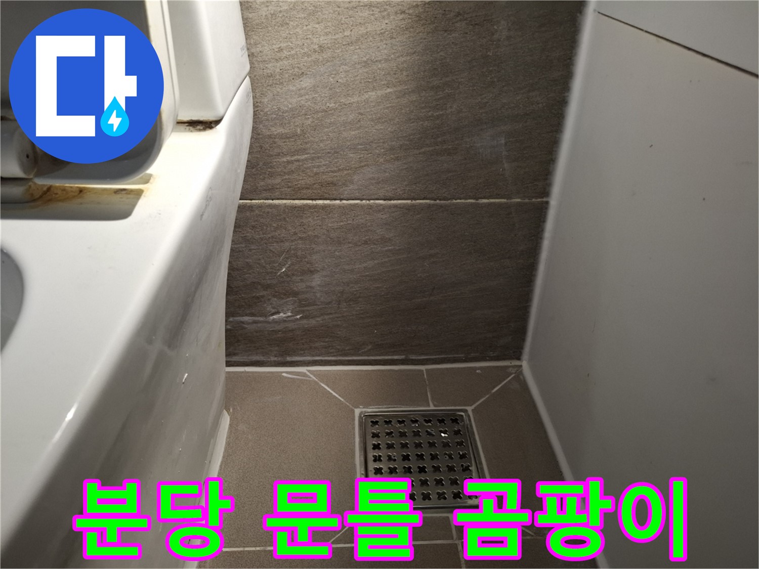 분당 화장실 문틀 곰팡이 - 누수 때문일까요?