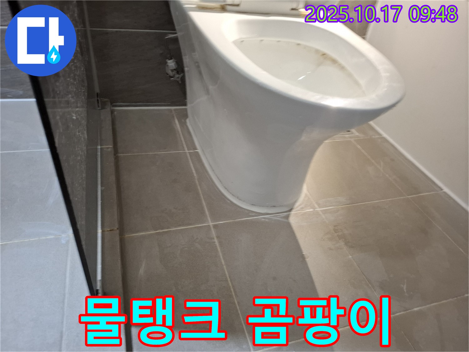 분당구 누수 현장에서 변기 물탱크에 곰팡이가 핀 모습 - 청결 관리가 필요합니다.