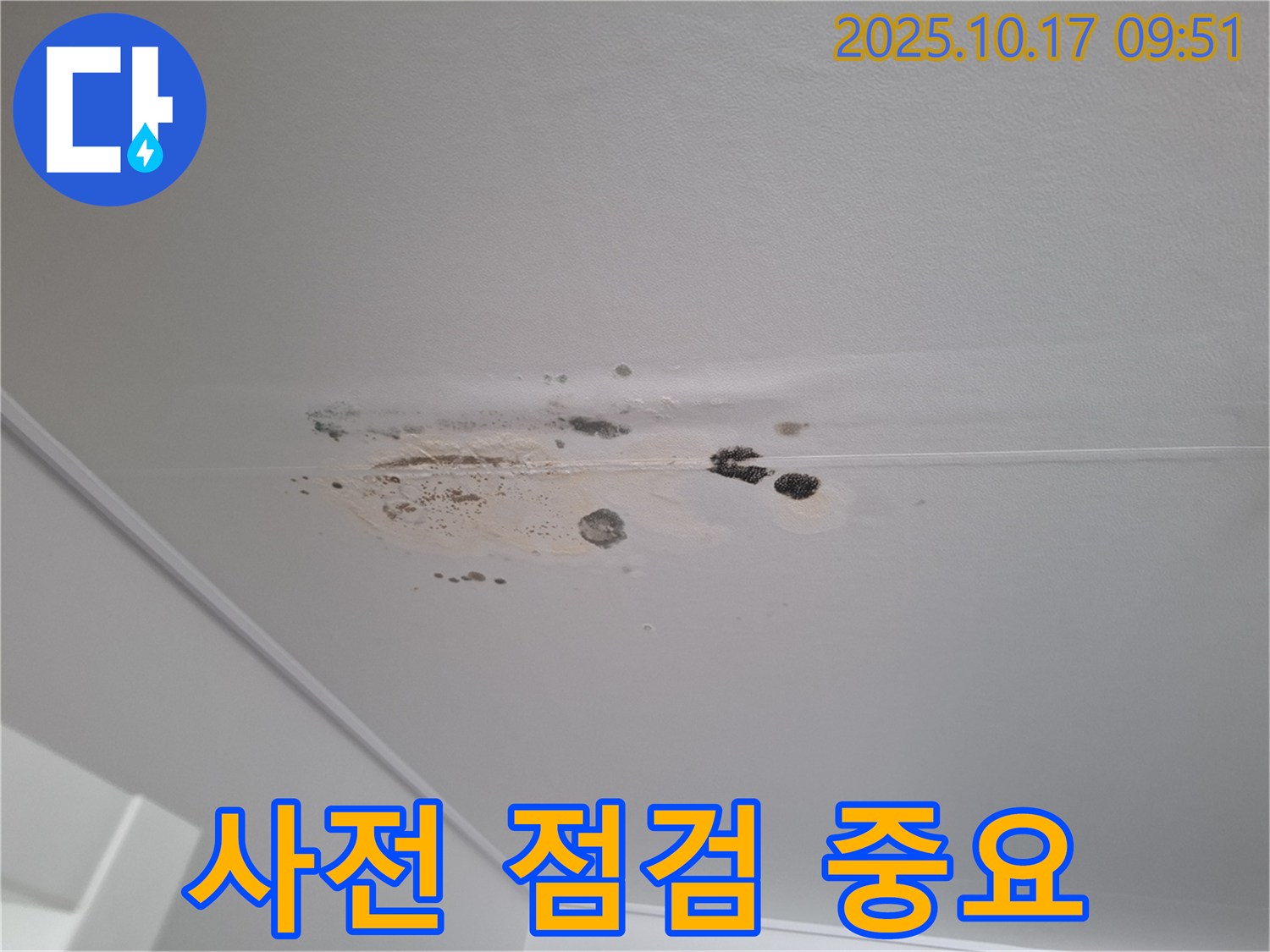 삼평동 누수 - 곰팡이 얼룩 심한 천장 - 누수 발생 전 사전 점검의 중요성 강조