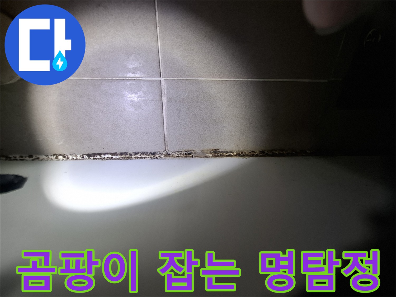 욕조 곰팡이 - 곰팡이 잡는 명탐정이 출동합니다!