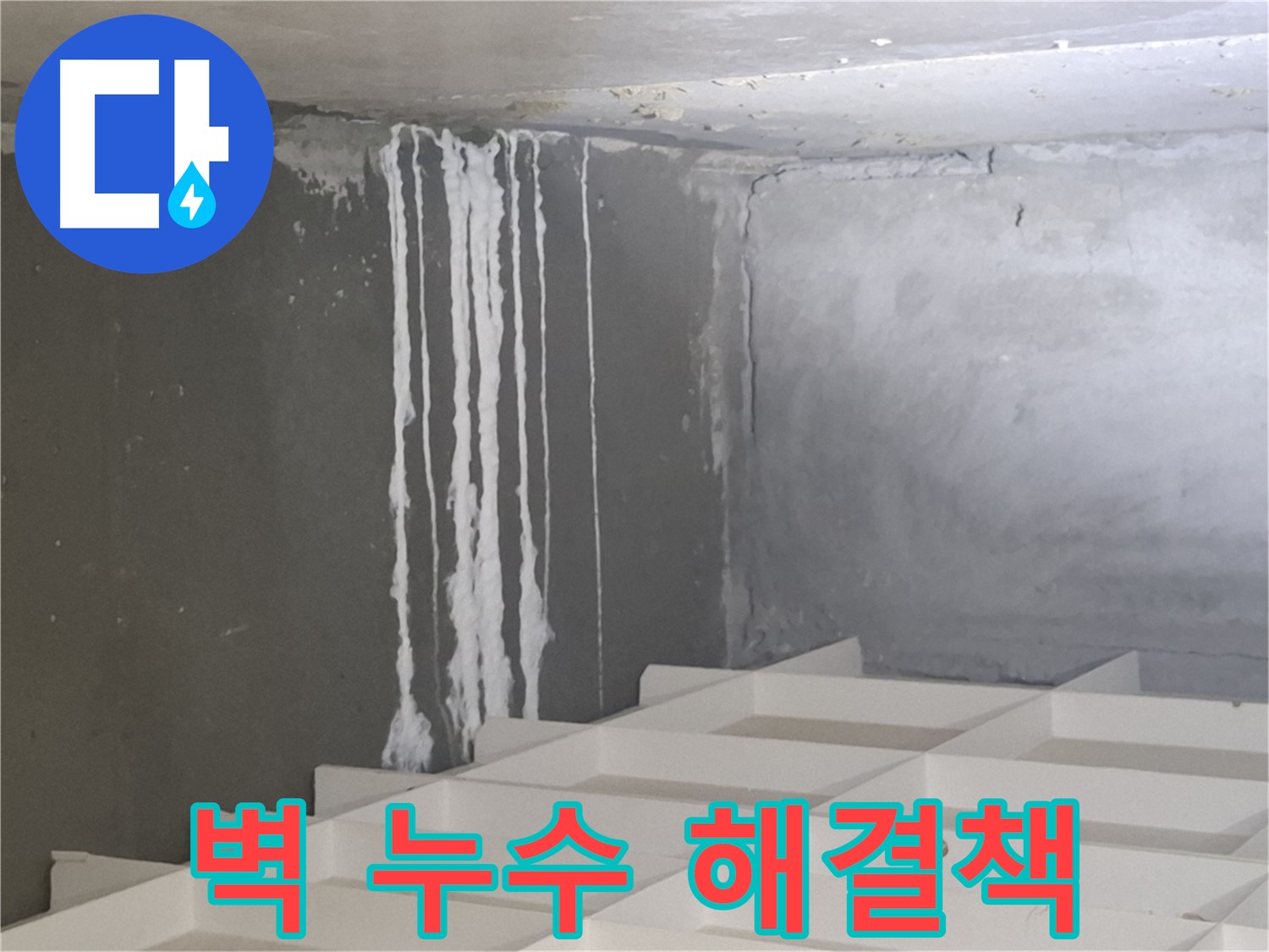 삼평동 누수 - 콘크리트 벽 누수 문제, 더 이상 고민하지 마시고 전문가에게 맡기세요