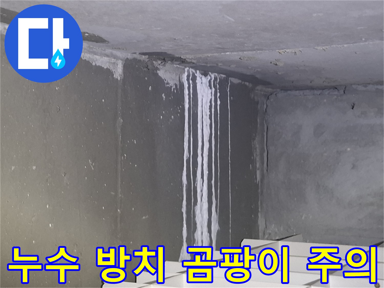 삼평동 아파트 누수 방치 - 곰팡이 발생 위험 경고