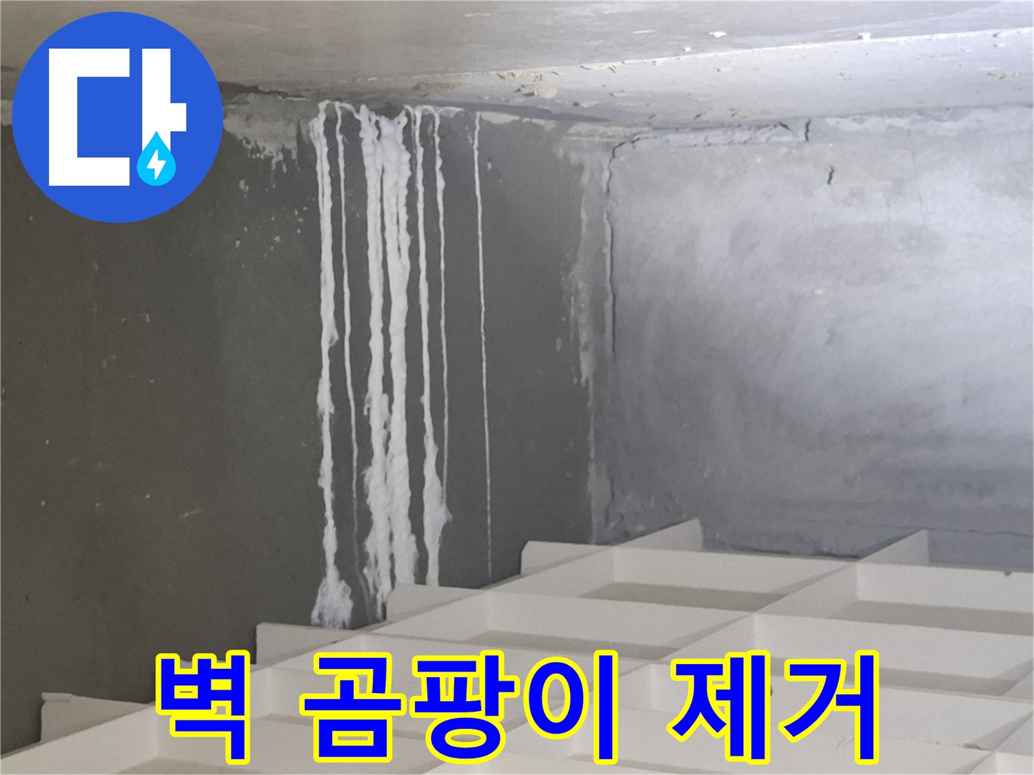 삼평동 아파트 누수 - 벽에 맺힌 하얀 곰팡이 문제, 재발 방지를 위한 완벽 시공 노하우 공개