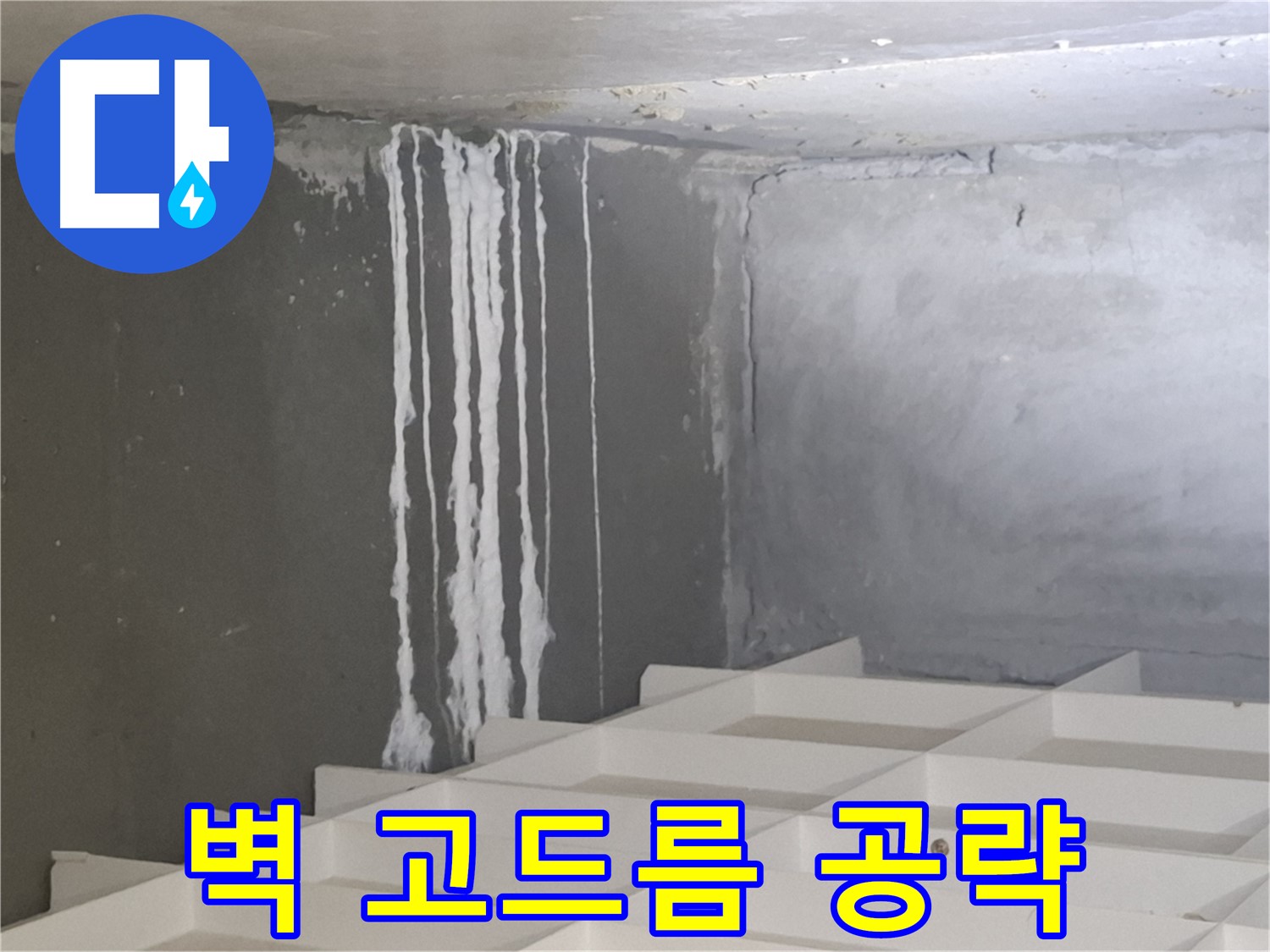 삼평동 아파트 누수 클리닉 - 벽에 맺힌 하얀 고드름, 숨겨진 누수 경로 꼼꼼히 찾기