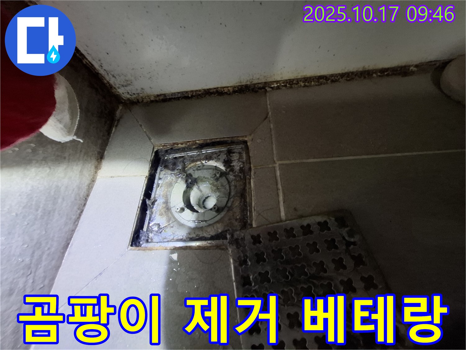 성남 봇들마을 아파트 - 욕실 배수구 곰팡이 제거 - 누수 완벽 차단 - 오랜 경험과 노하우로 쾌적한 욕실 환경을 만들어 드립니다.
