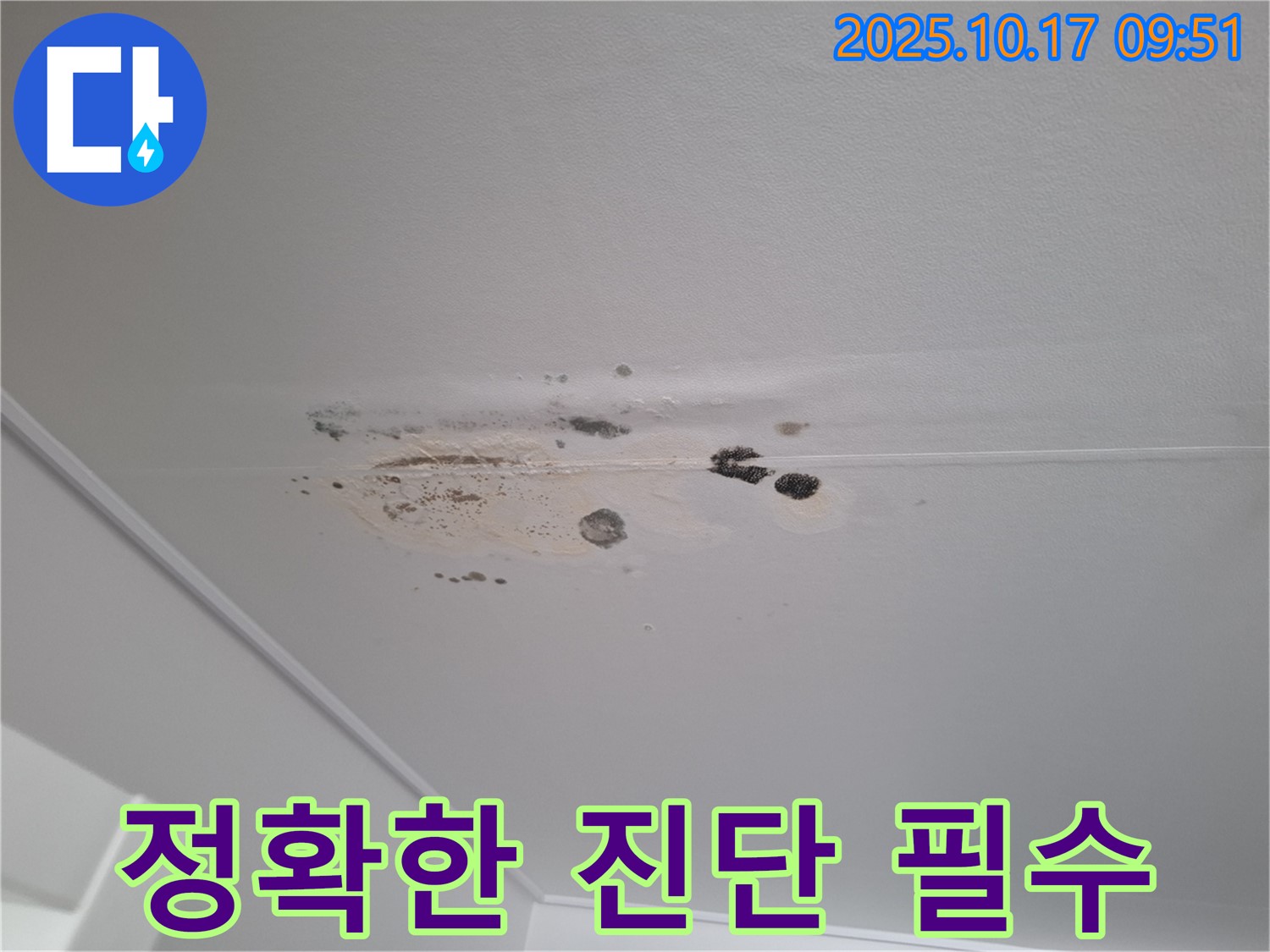 성남 분당 누수 - 곰팡이와 누수 얼룩 - 정확한 진단으로 문제 해결
