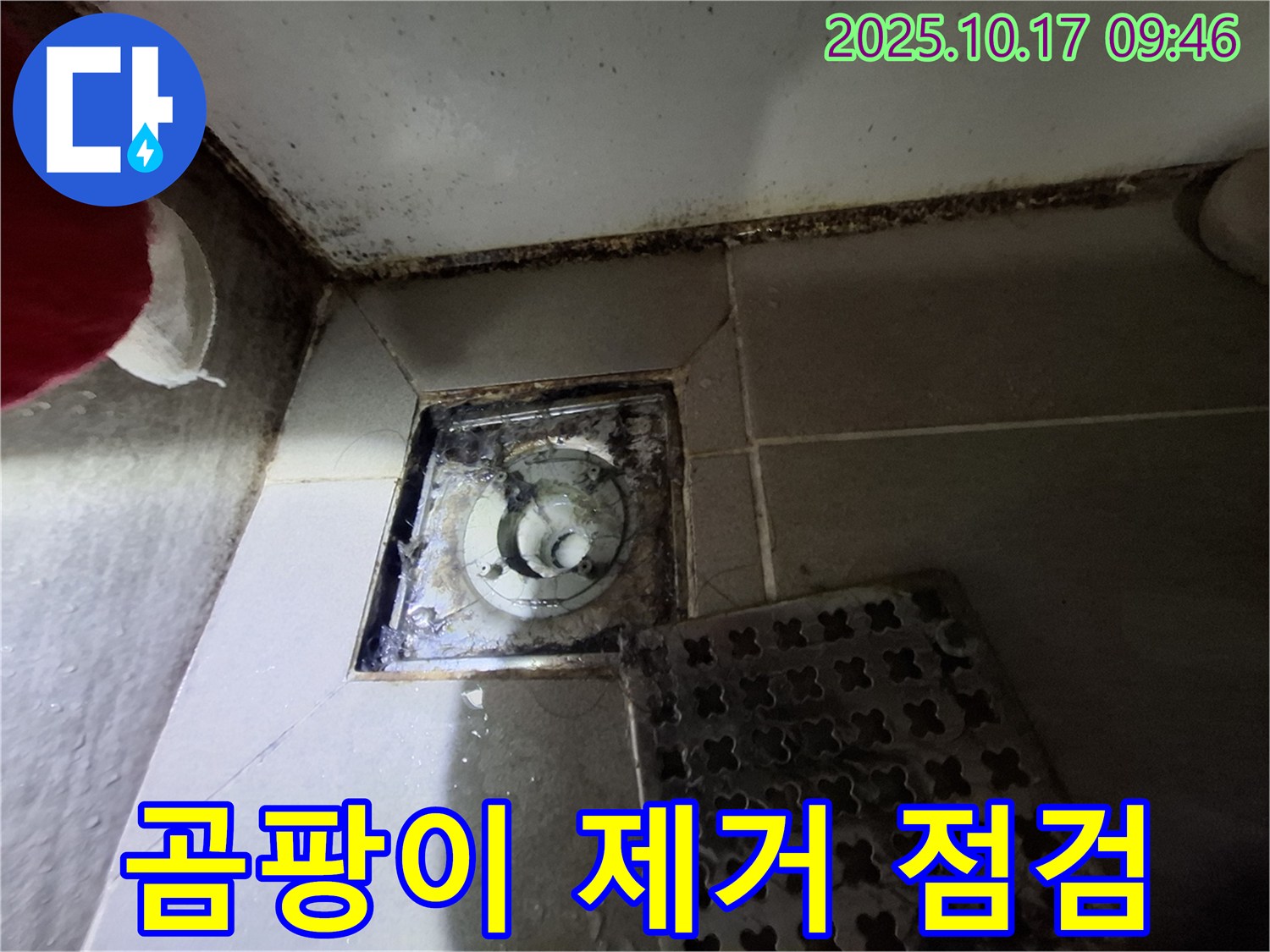 성남 분당 봇들마을 아파트 - 욕실 배수구 곰팡이 제거 및 누수 사전 점검 - 쾌적한 욕실 환경을 위한 첫걸음.