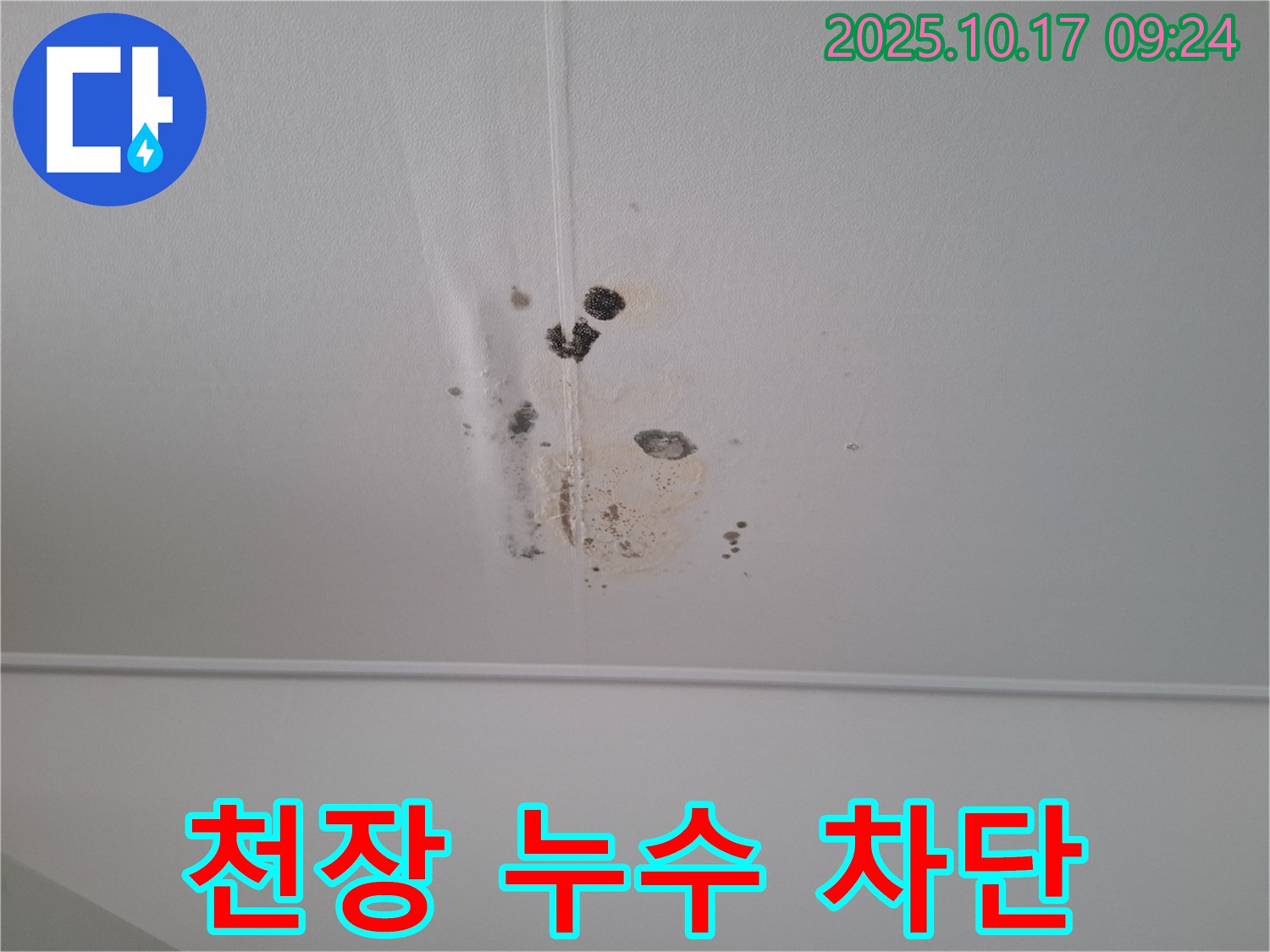 성남 분당 봇들마을 아파트 천장 누수 - 누수 차단 작업