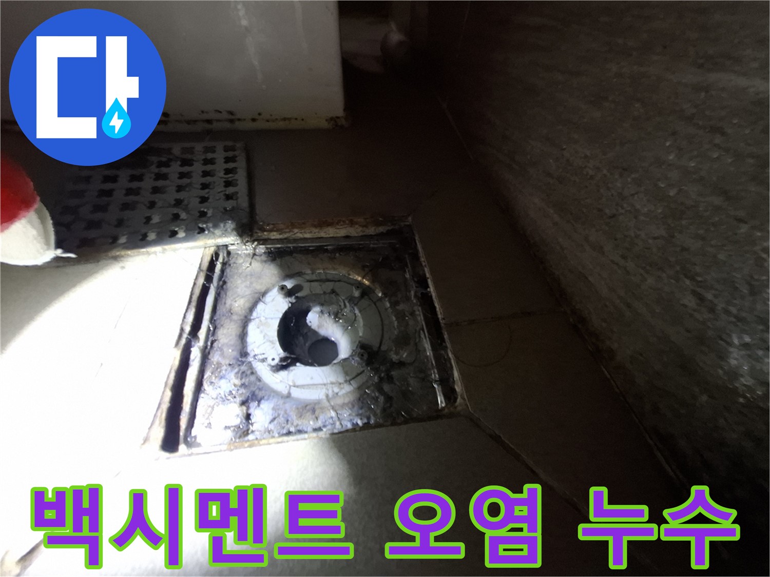 성남 분당 봇들마을 욕실 백시멘트 손실 - 누수 점검, 오염 제거와 함께 꼼꼼하게