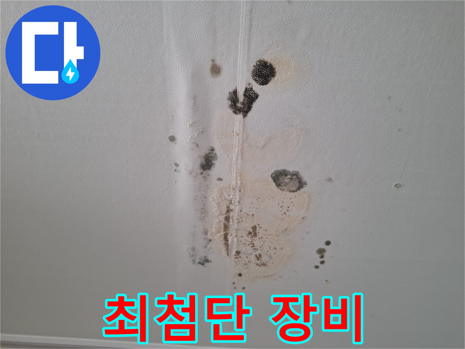 성남 분당 봇들마을2단지 누수 - 누수 탐지, 최첨단 장비 동원