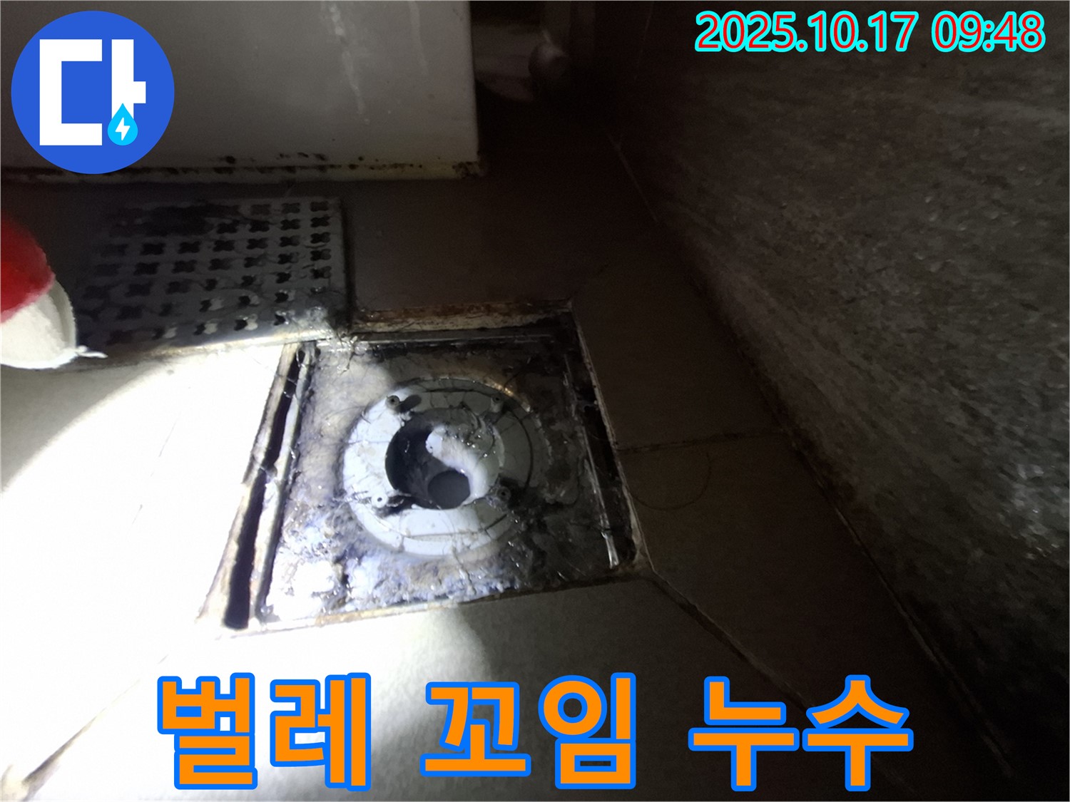 성남 분당 삼평동 봇들마을 아파트 욕실 배수구 주변 벌레 꼬임 현상 - 누수 가능성을 진단하고 위생 문제를 해결합니다.