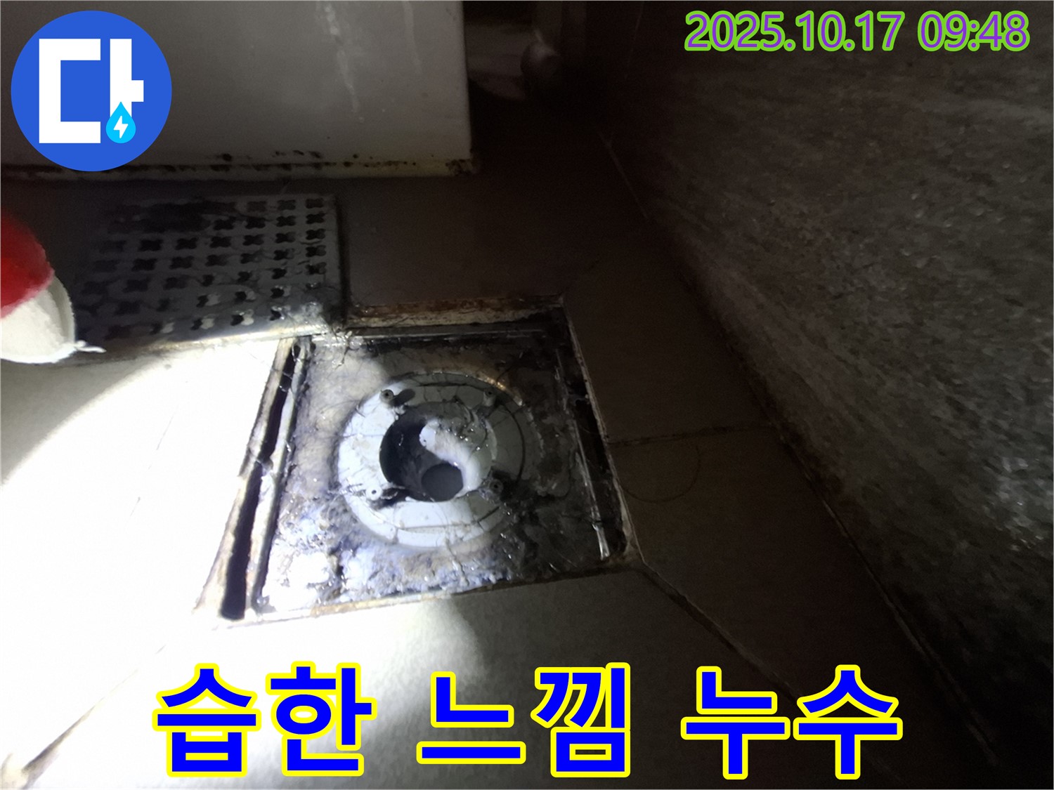 성남 분당 삼평동 봇들마을 아파트 욕실 배수구 주변 습한 느낌 - 누수 가능성을 진단하고 위생 문제를 해결합니다.