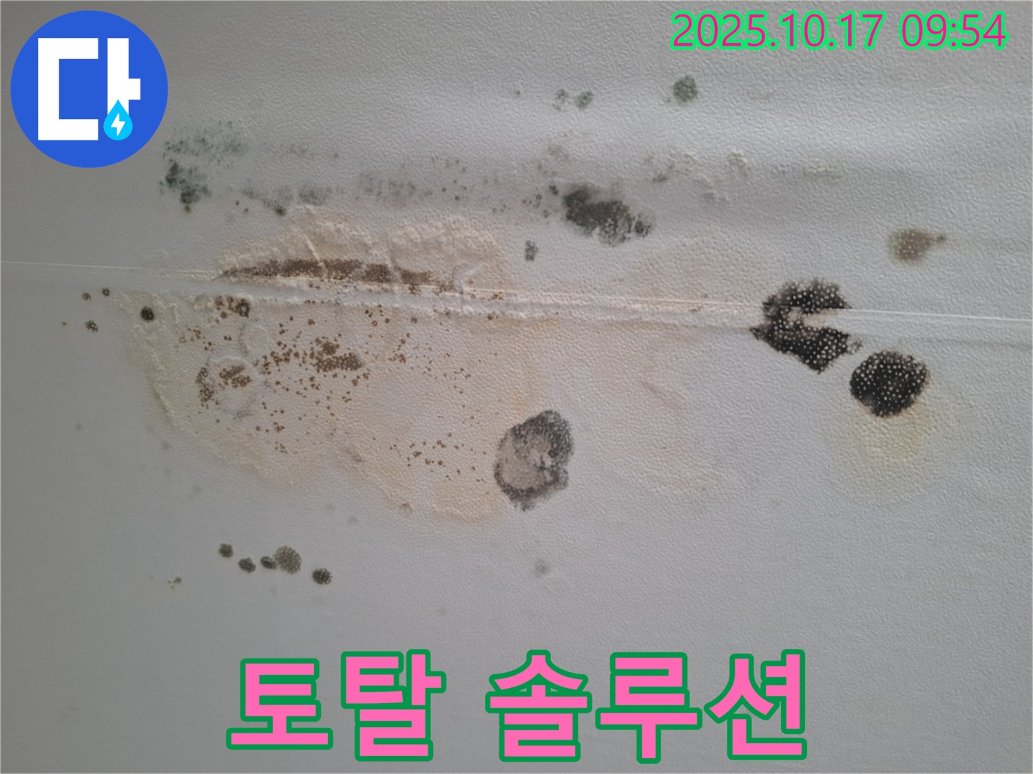 성남 분당 삼평동 봇들마을2단지 아파트 천장 누수 - 곰팡이 완벽 제거 및 누수 해결, 쾌적한 보금자리로