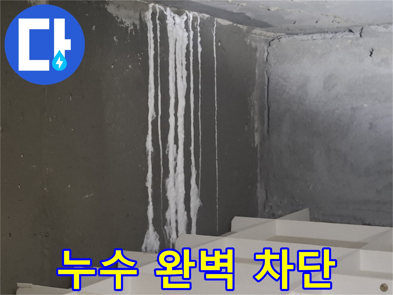 성남 분당 판교 봇들마을 아파트 누수 - 백화현상 완벽 차단! 누수 걱정 없이 쾌적한 환경을 만들어 드립니다.
