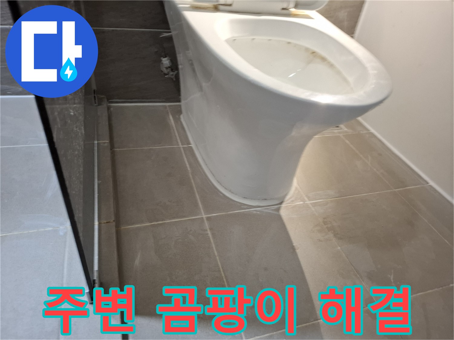 성남 삼평동 717번지 - 변기 주변 곰팡이, 누수 해결 전문가