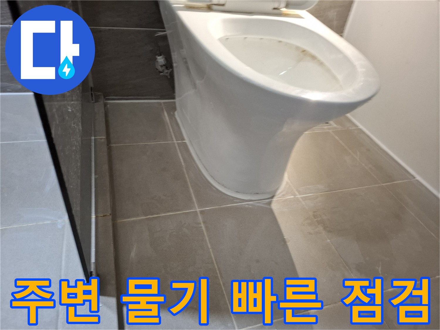 성남 삼평동 717번지 - 변기 주변 물기 - 빠른 점검