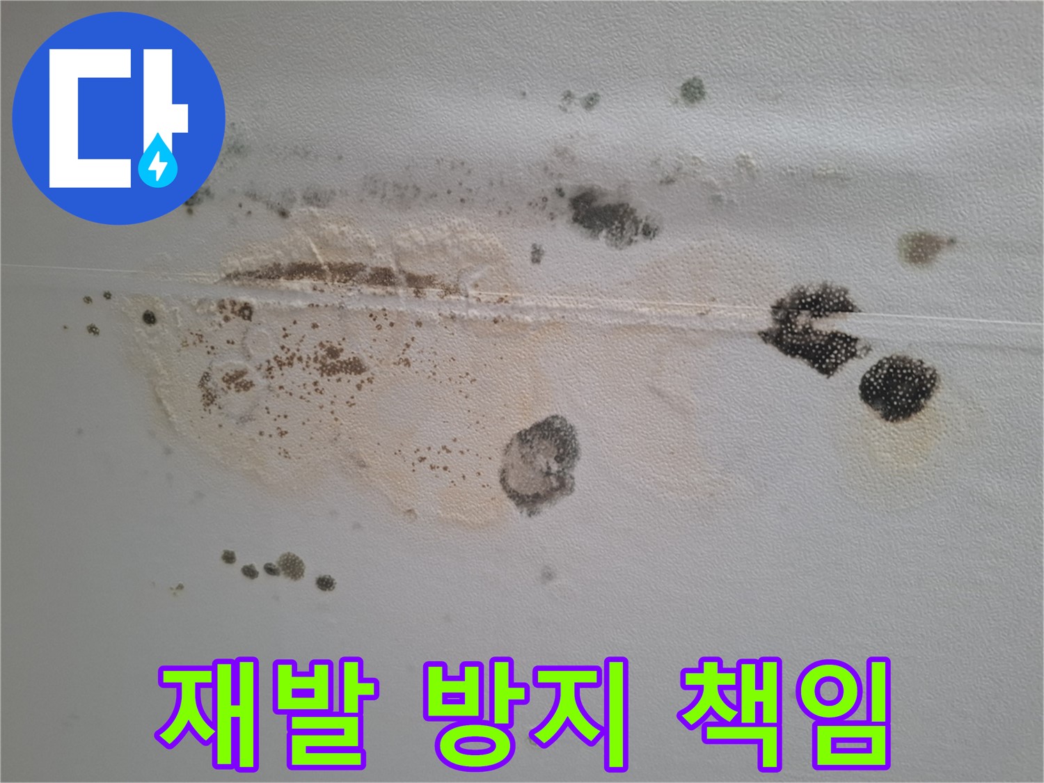 성남 삼평동 누수 - 곰팡이 천장 완벽 제거 후 재발 방지까지 책임 시공