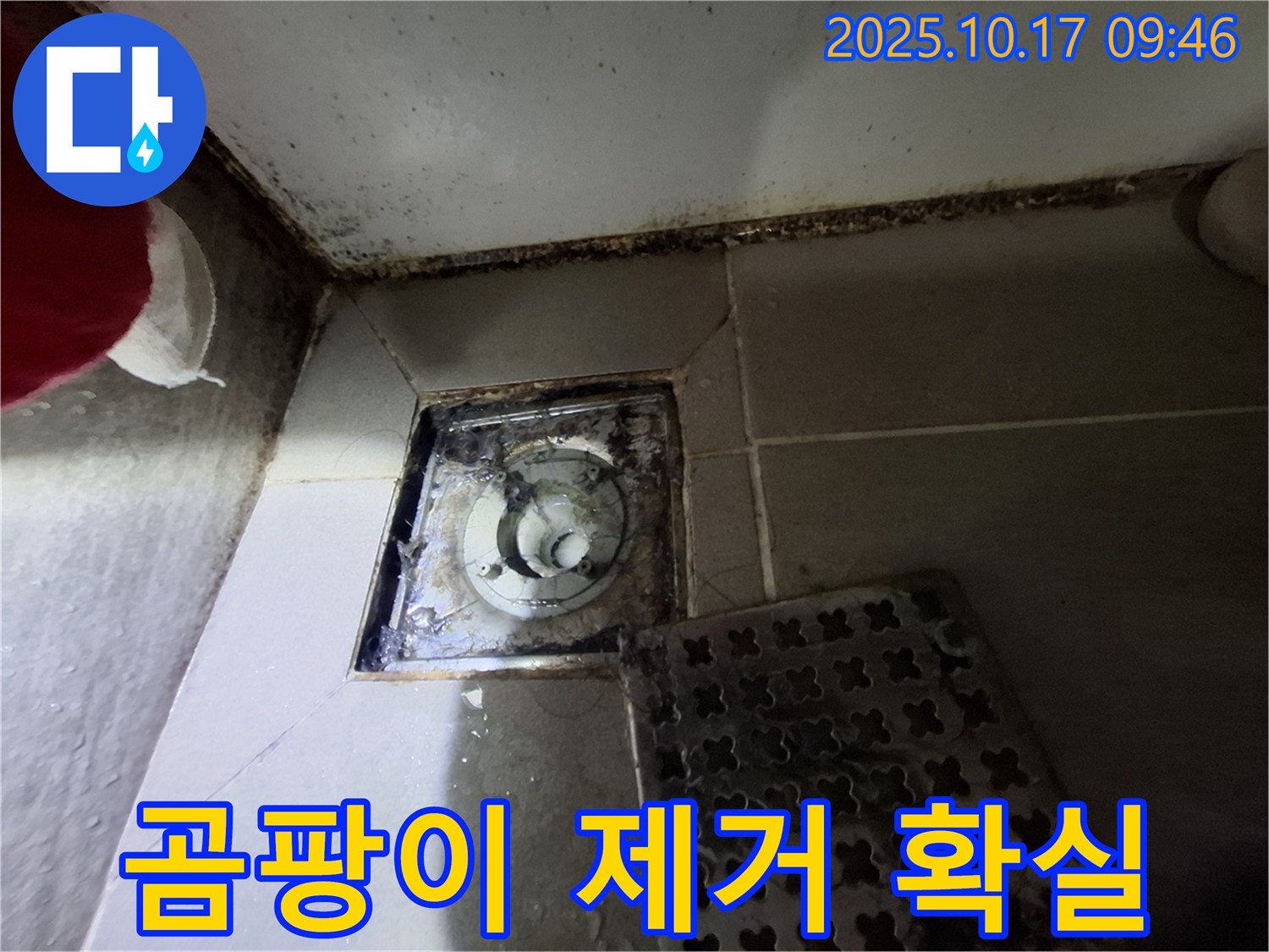 성남 판교 봇들마을 아파트 - 욕실 배수구 곰팡이 제거 - 누수 완벽 차단 - 꼼꼼한 시공으로 쾌적한 욕실 환경을 만들어 드립니다.