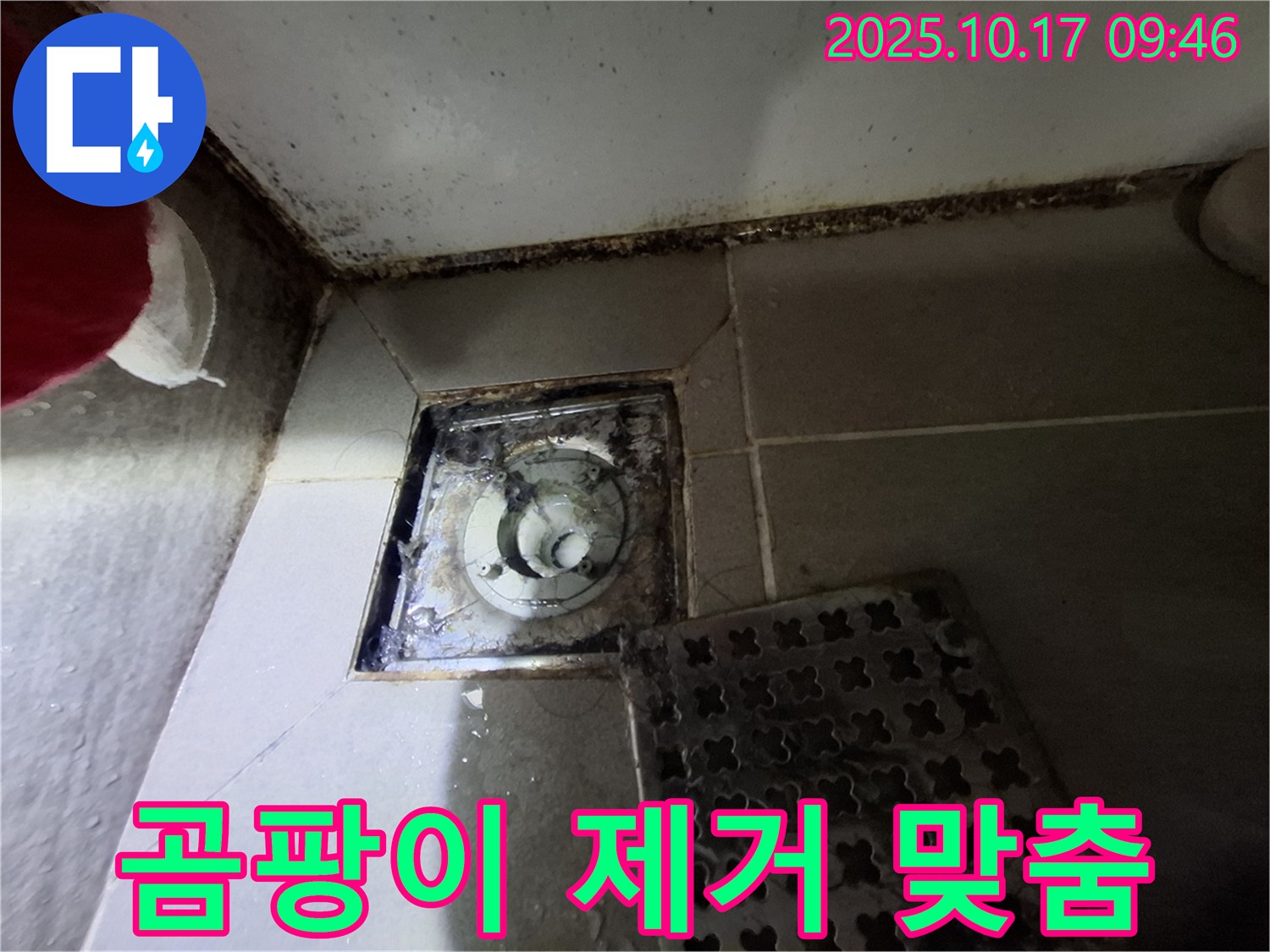 성남 판교 봇들마을2단지 아파트 욕실 배수구 곰팡이 제거 - 누수 예방 맞춤 - 쾌적한 욕실 환경을 위한 최고의 선택.
