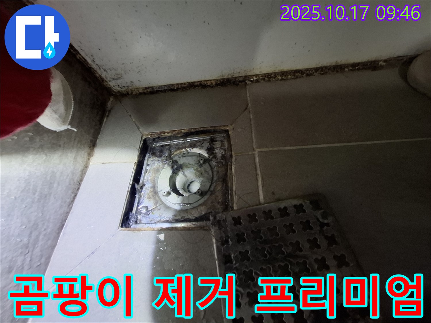 성남 판교 봇들마을2단지 아파트 욕실 배수구 곰팡이 제거 - 누수 완벽 차단 프리미엄 - 쾌적한 욕실 환경을 만들어 드립니다.