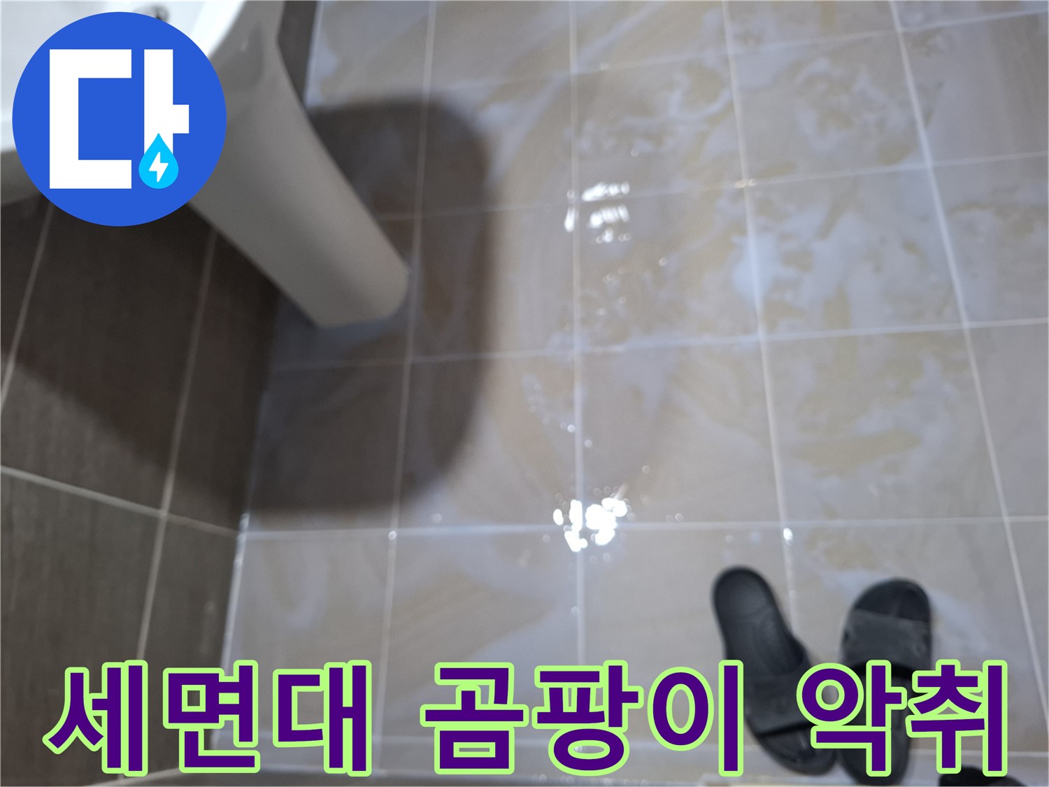성남시 분당구 봇들마을2단지 세면대 누수 - 곰팡이와 악취가 심각한 세면대 누수 현장