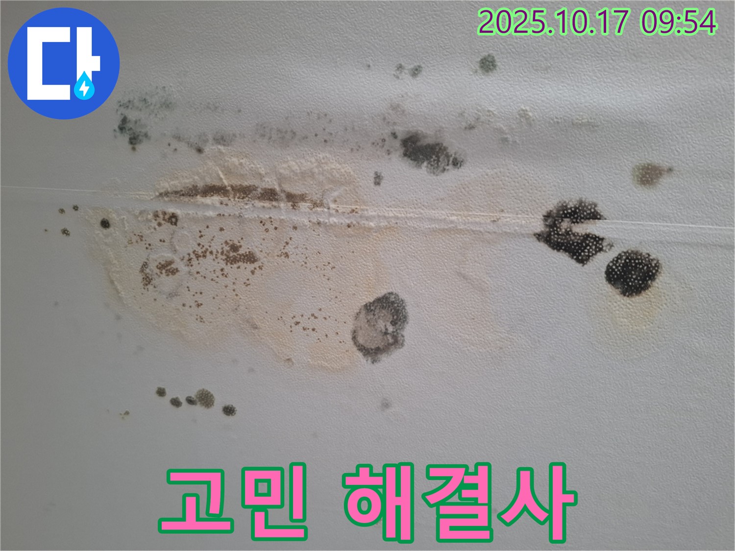 성남시 분당구 봇들마을2단지 아파트 천장 누수 - 곰팡이 문제, 누수 문제, 완벽하게 해결해 드리는 고민 해결사