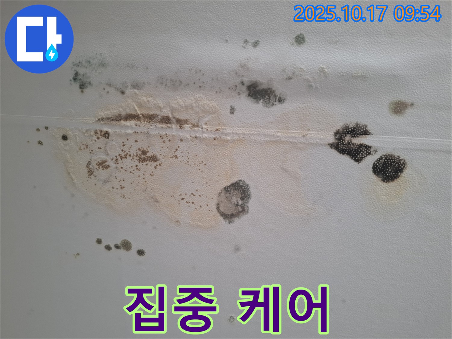 성남시 분당구 봇들마을2단지 아파트 천장 누수 - 곰팡이 문제 해결, 쾌적한 공간으로 변신하는 집중 케어
