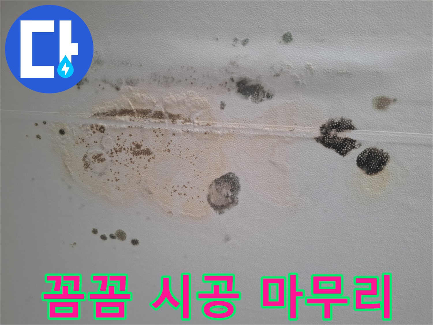 성남시 분당구 삼평동 누수 - 곰팡이 핀 천장, 꼼꼼한 시공과 완벽한 마무리