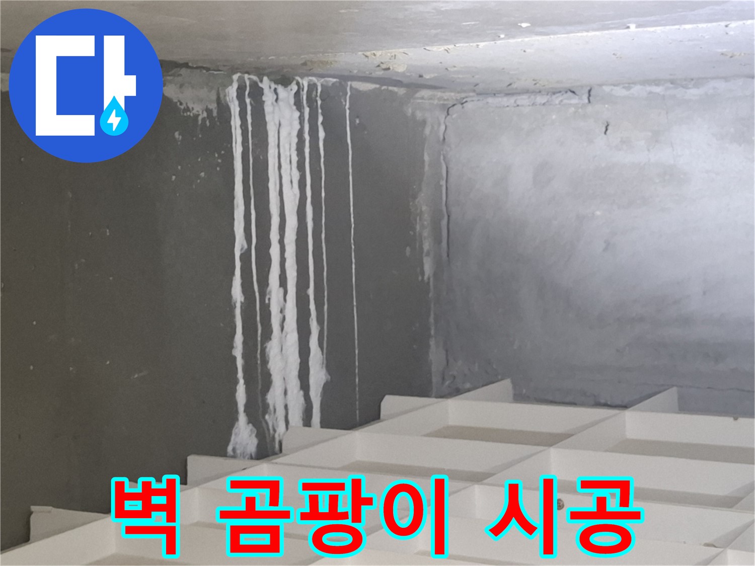 성남시 분당구 삼평동 누수 - 벽에 맺힌 하얀 곰팡이 누수 문제, 확실한 해결을 보장하는 전문 업체