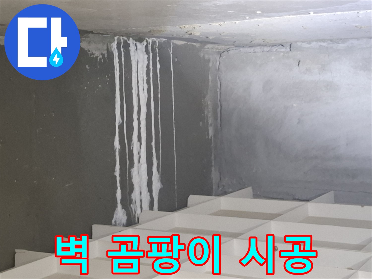 성남시 분당구 삼평동 누수 - 벽에 맺힌 하얀 곰팡이 누수 문제, 확실한 해결을 보장하는 전문 업체