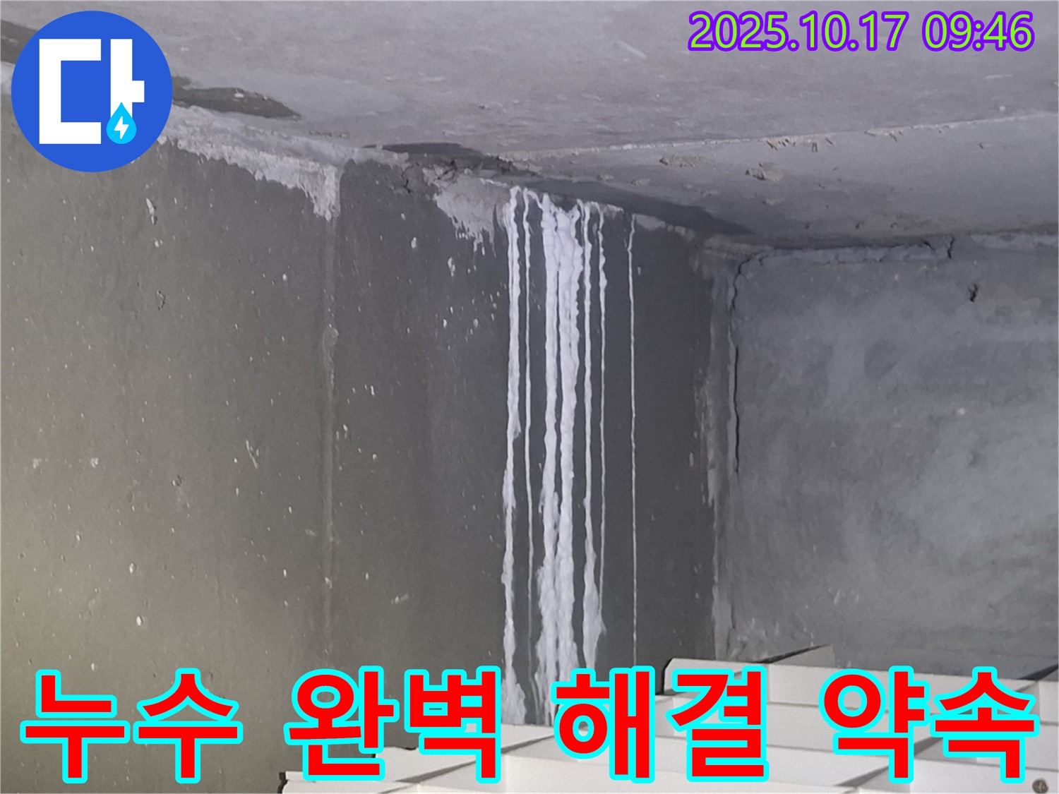 성남시 분당구 삼평동 봇들마을2단지 아파트 계단실 벽면 누수 - 누수 문제 완벽 해결을 약속드립니다.