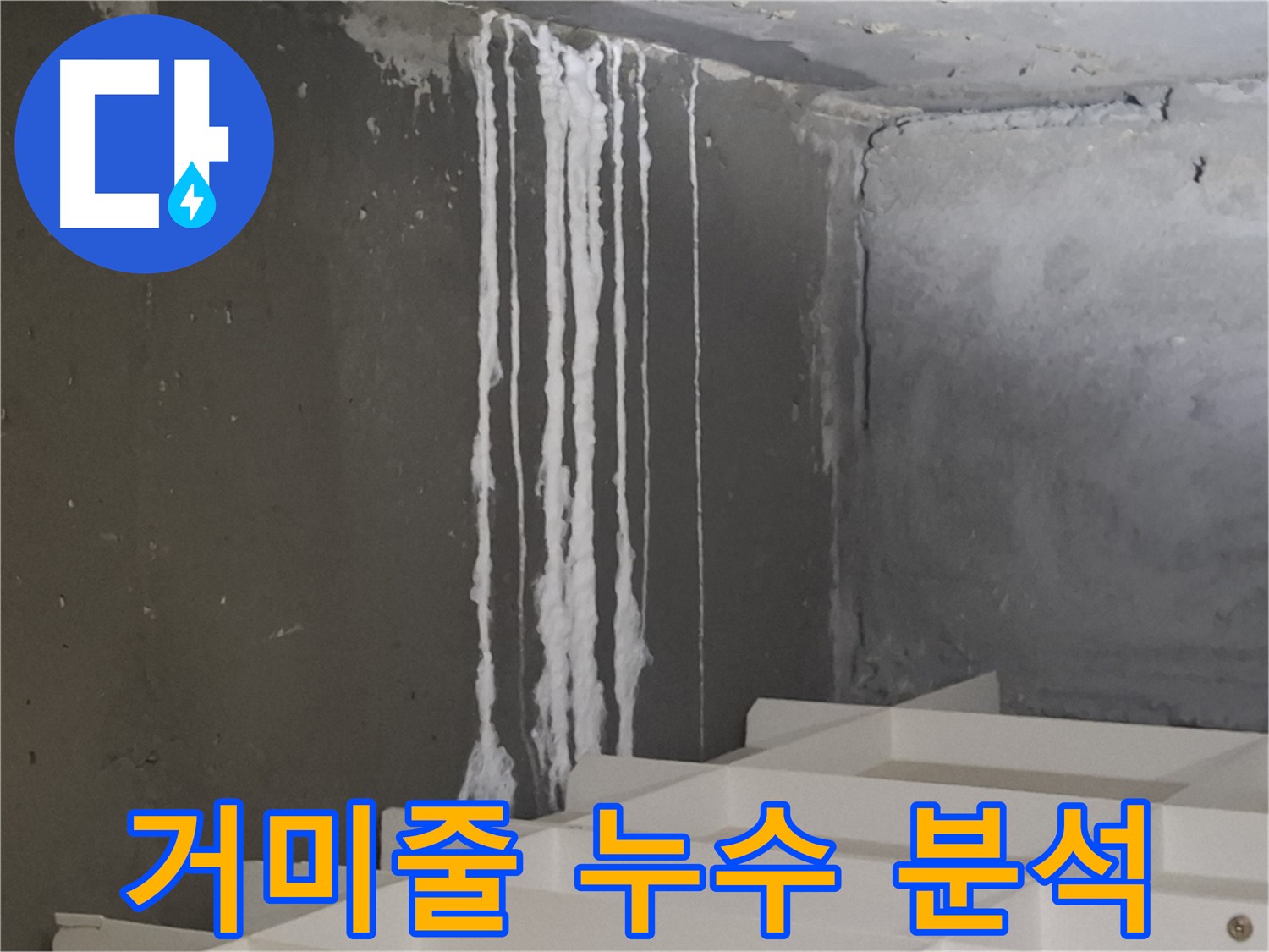 성남시 분당구 삼평동 아파트 - 계단 '거미줄' 누수, 원인 꼼꼼 분석 과정을 담은 이미지.