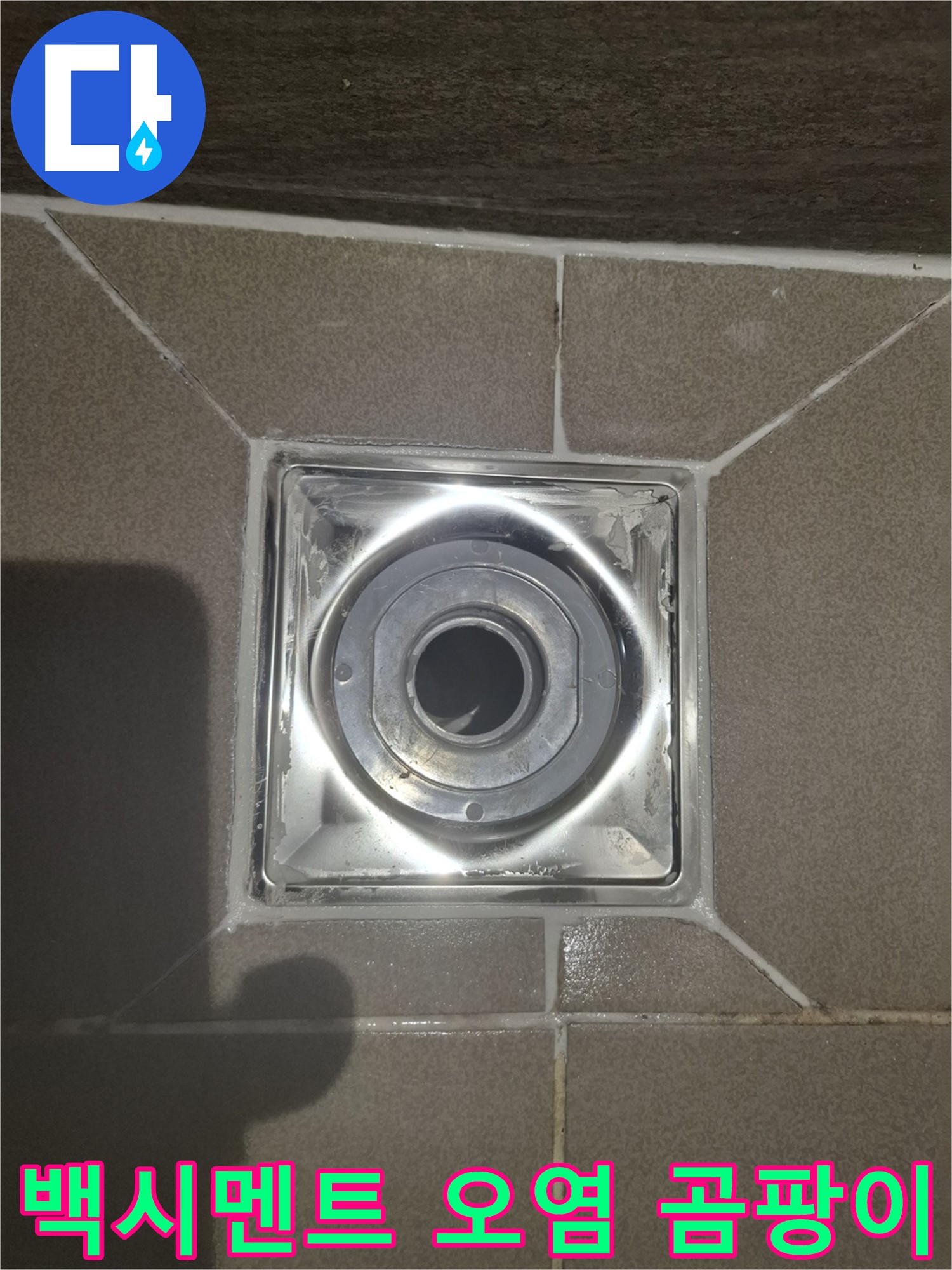 욕실 배수구 주변 - 백시멘트 오염 및 곰팡이 발생