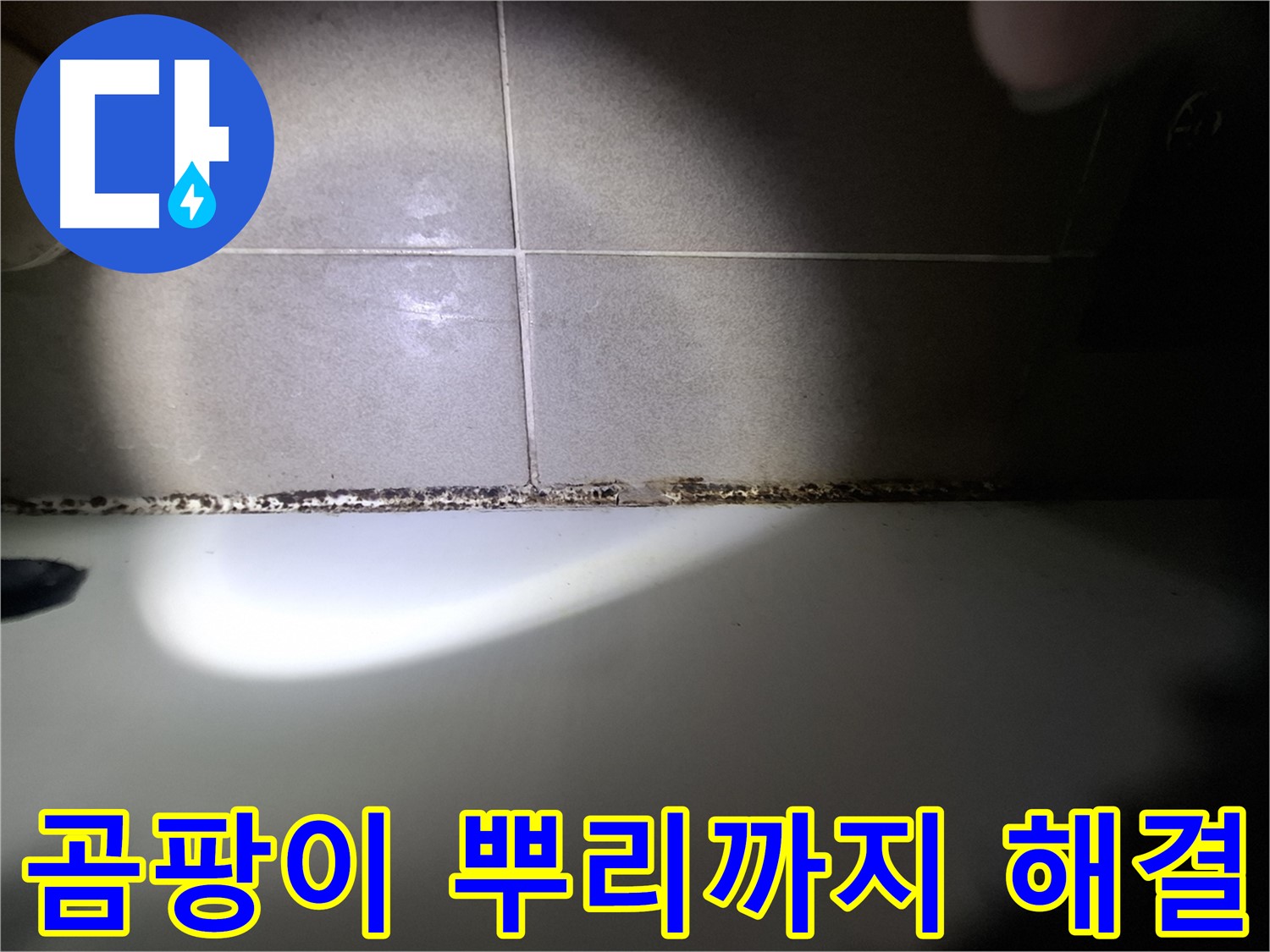 욕조 곰팡이 - 곰팡이 뿌리까지 뽑는 확실한 해결!