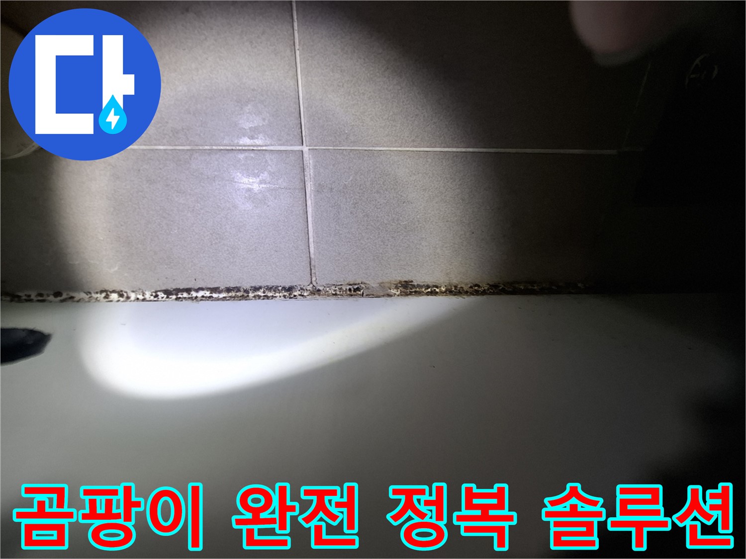 욕조 곰팡이 - 곰팡이 완전 정복을 위한 맞춤 솔루션 제공