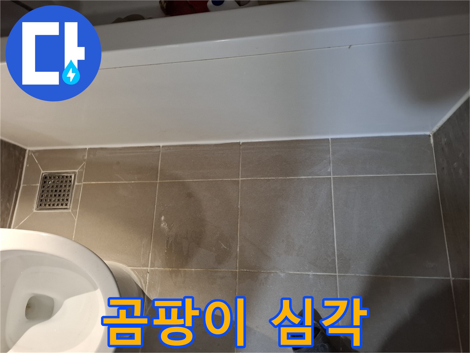 욕조 옆 실리콘 주변 곰팡이 심각 - 긴급 점검