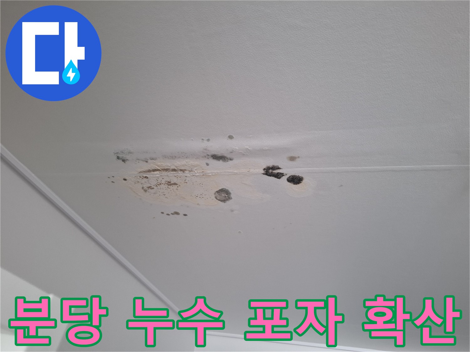 천장 누수 - 곰팡이 포자 확산, 건강에 해로워요
