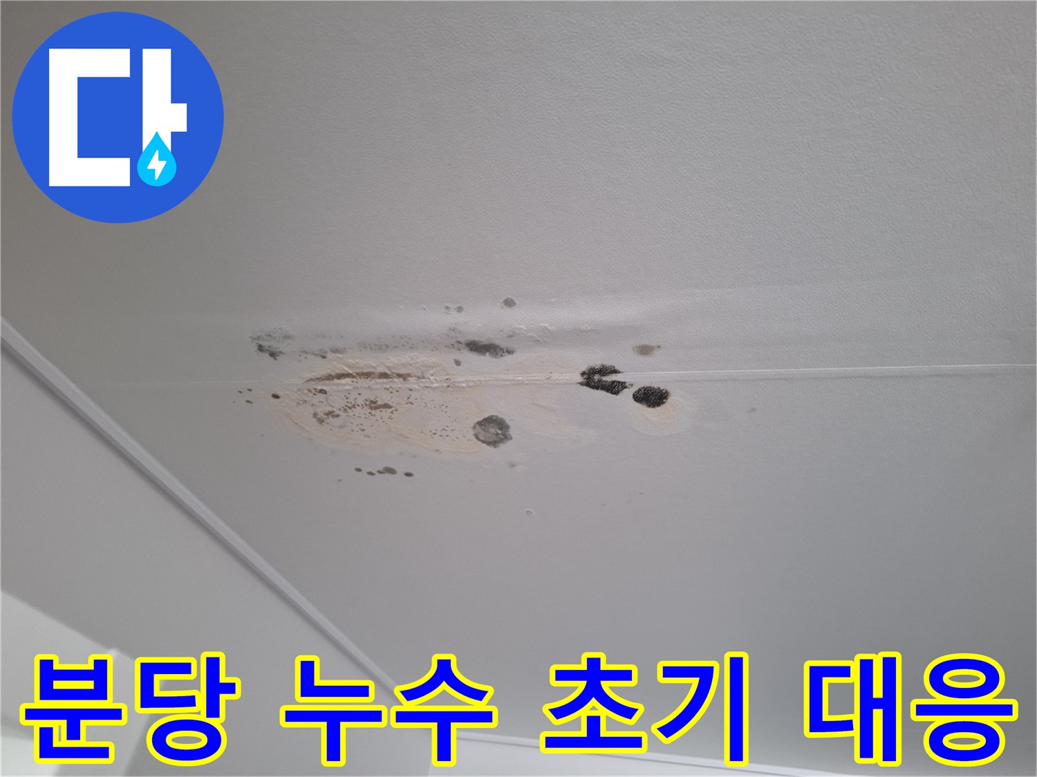 천장 누수 - 초기 대응으로 큰 피해를 막을 수 있어요