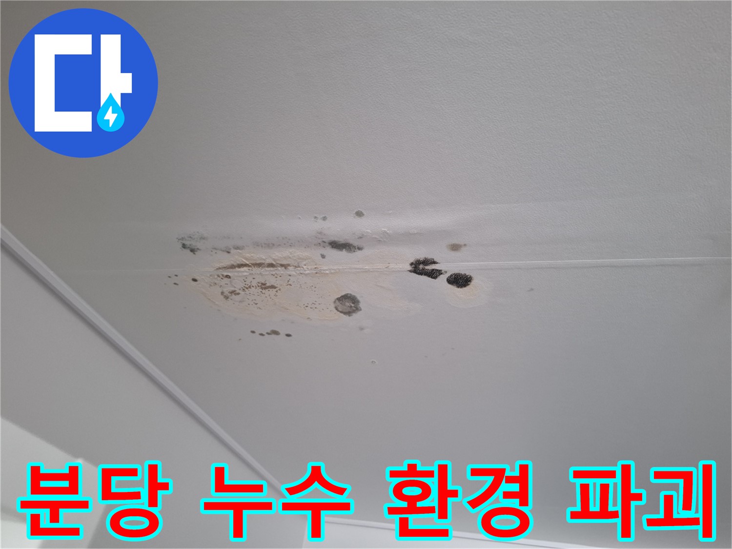 천장 누수 - 쾌적한 환경 파괴, 빠른 해결!