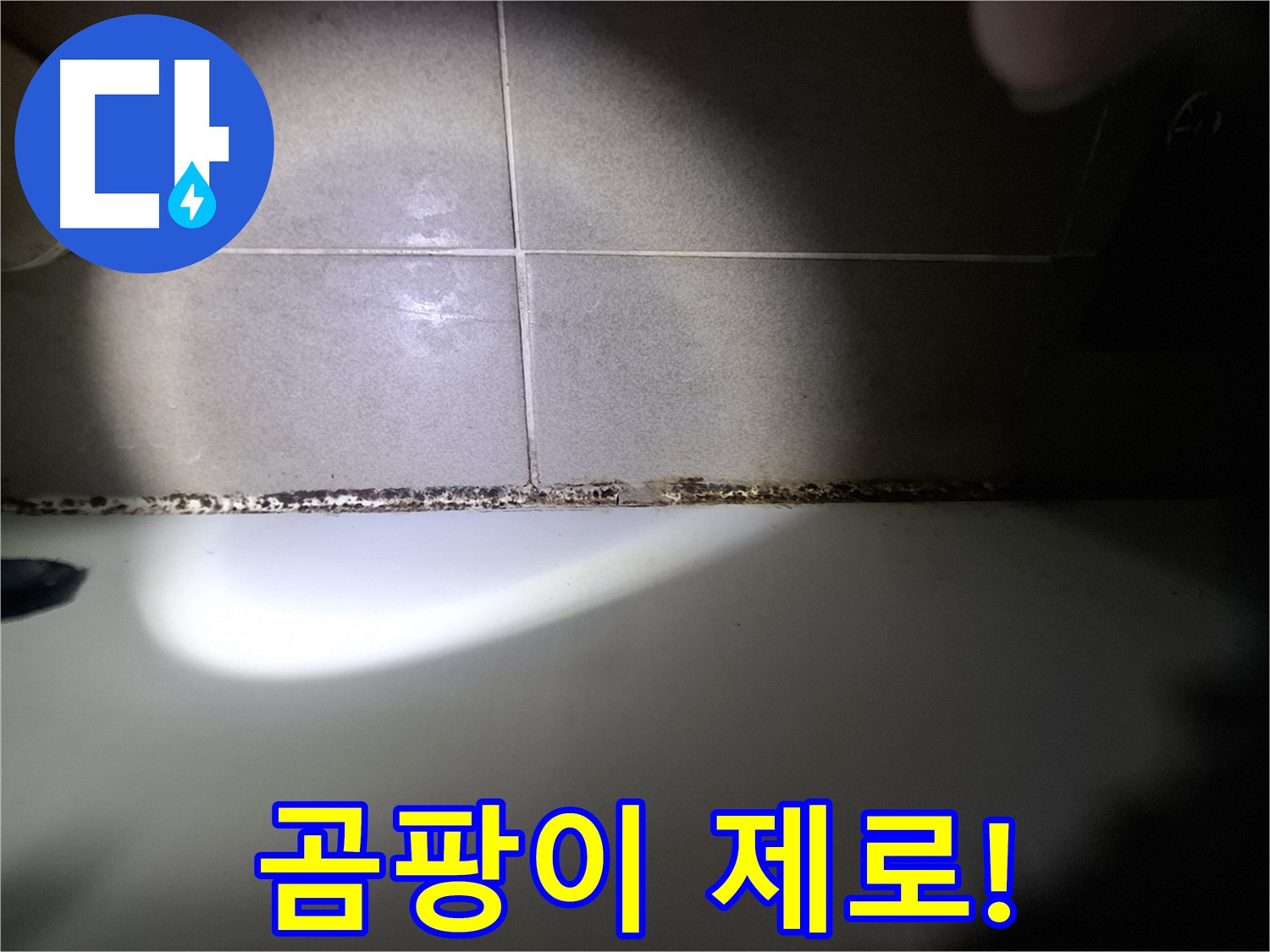 욕조 곰팡이 제거 - 곰팡이 제로를 위한 완벽 시공