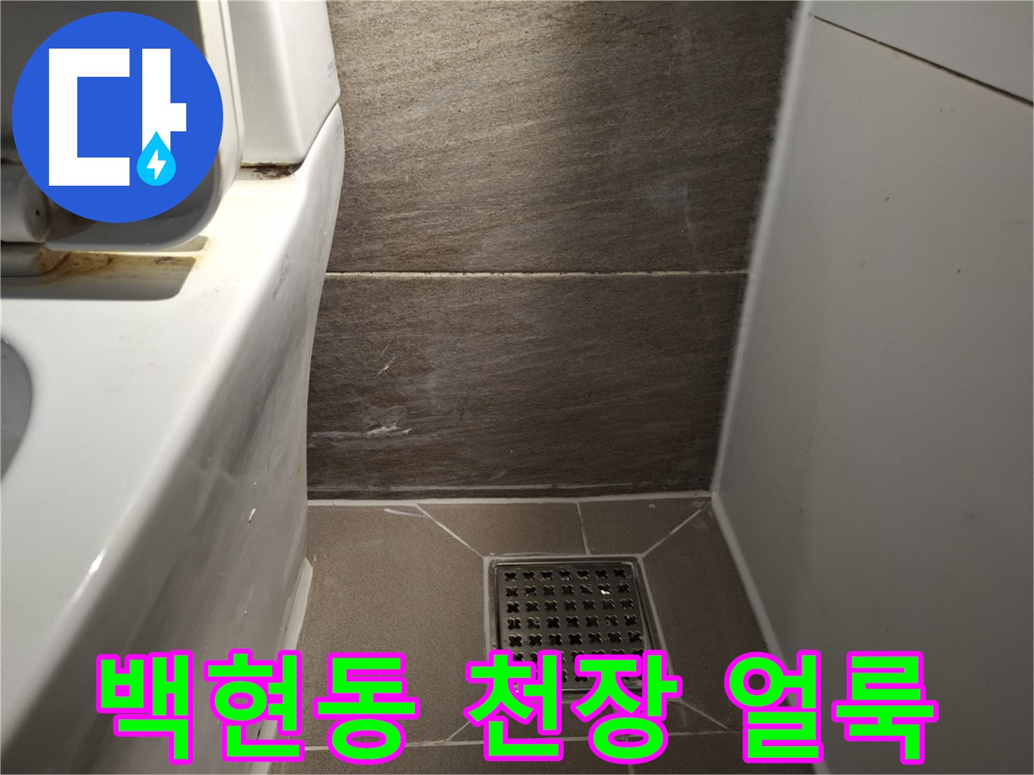 판교 백현동 천장 얼룩 - 윗집 문제 의심