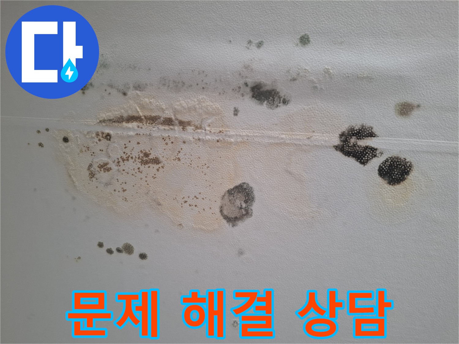 판교 봇들마을 누수 - 곰팡이 문제 해결 전문 상담 및 시공