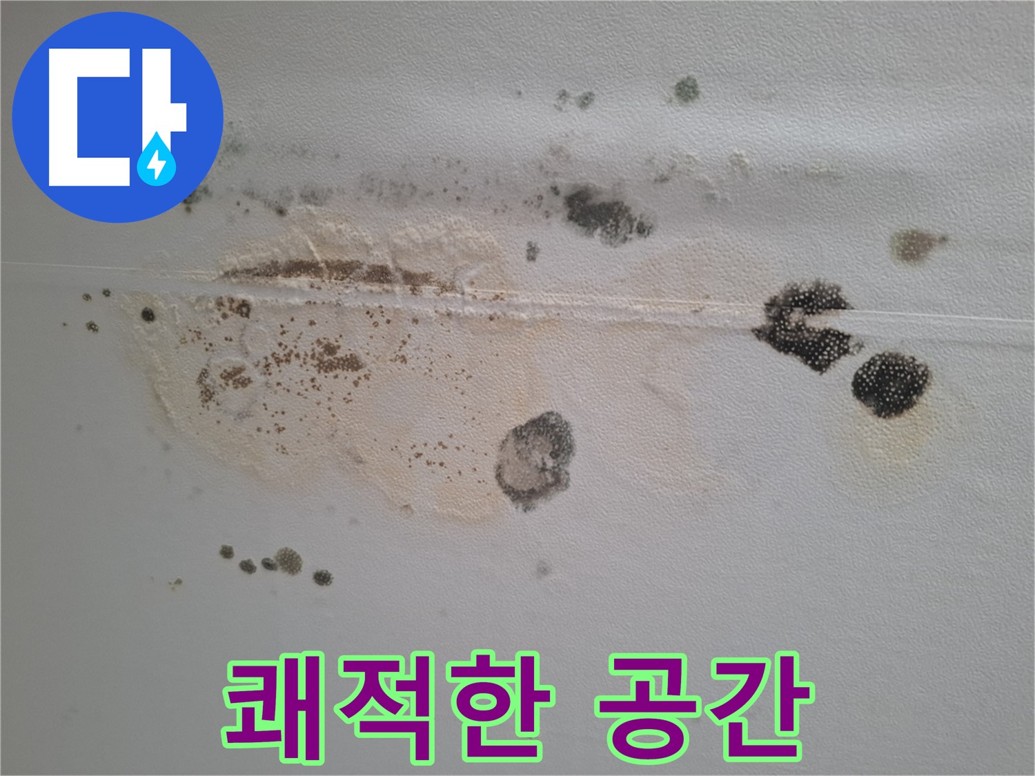 판교 봇들마을 누수 - 곰팡이와 누수 얼룩 제거 후 쾌적한 공간으로 변신